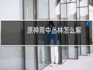 原神雨中丛林怎么解