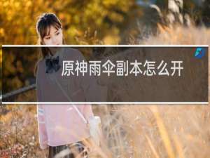 原神雨伞副本怎么开