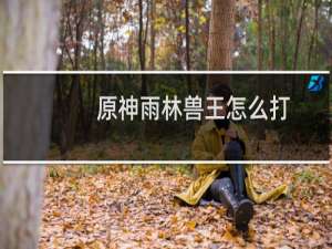 原神雨林兽王怎么打