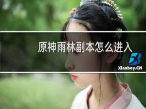 原神雨林副本怎么进入