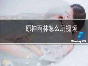 原神雨林怎么玩视频