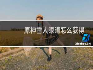 原神雪人眼睛怎么获得