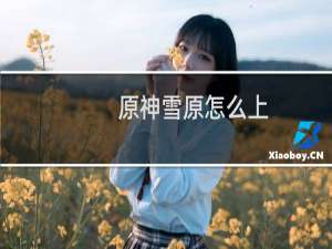 原神雪原怎么上