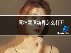 原神雪原结界怎么打开