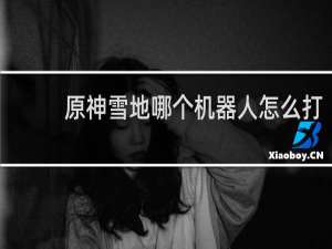 原神雪地哪个机器人怎么打