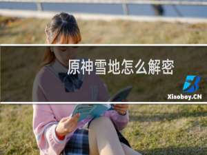 原神雪地怎么解密