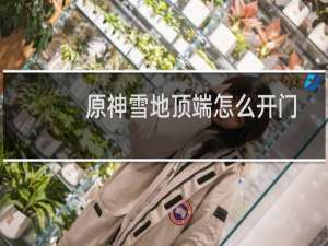 原神雪地顶端怎么开门