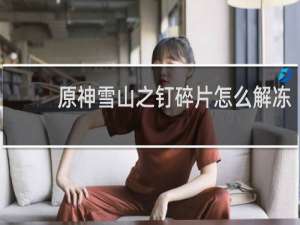原神雪山之钉碎片怎么解冻