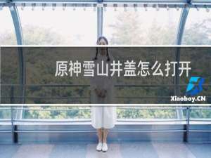 原神雪山井盖怎么打开