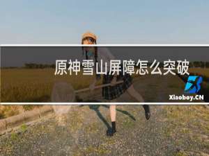 原神雪山屏障怎么突破