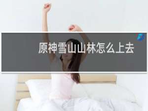原神雪山山林怎么上去