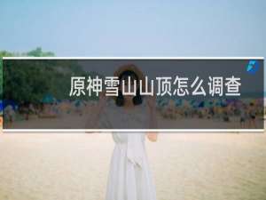原神雪山山顶怎么调查
