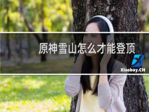 原神雪山怎么才能登顶
