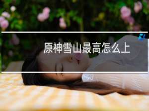 原神雪山最高怎么上