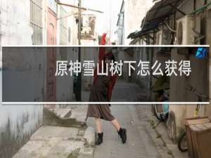 原神雪山树下怎么获得
