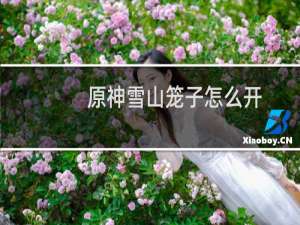原神雪山笼子怎么开