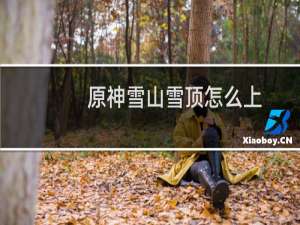 原神雪山雪顶怎么上