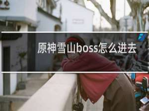 原神雪山boss怎么进去