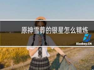 原神雪葬的银星怎么精炼