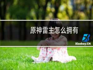 原神雷主怎么拥有