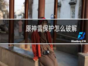 原神雷保护怎么破解