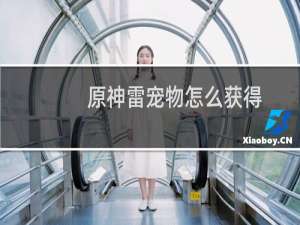 原神雷宠物怎么获得