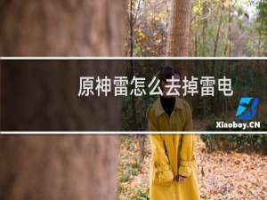 原神雷怎么去掉雷电