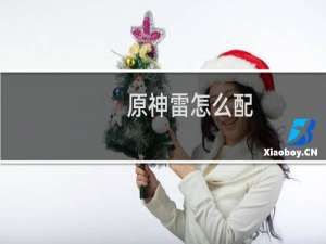 原神雷怎么配