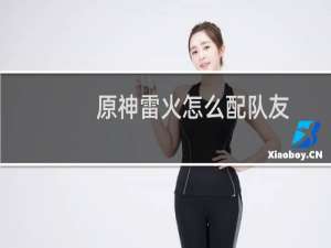 原神雷火怎么配队友