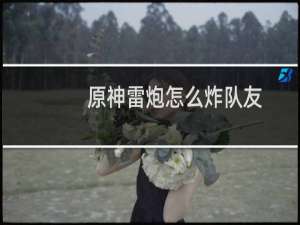 原神雷炮怎么炸队友