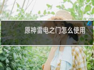 原神雷电之门怎么使用