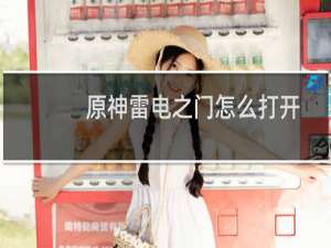 原神雷电之门怎么打开