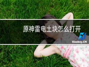 原神雷电土块怎么打开