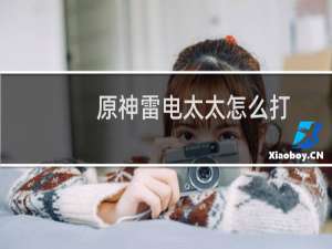原神雷电太太怎么打