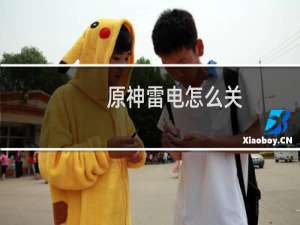 原神雷电怎么关