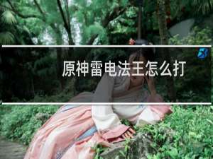 原神雷电法王怎么打