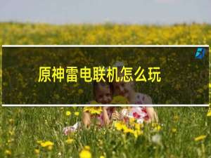 原神雷电联机怎么玩