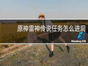 原神雷神传说任务怎么进洞