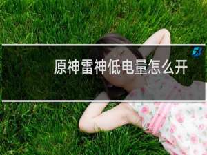 原神雷神低电量怎么开