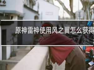 原神雷神使用风之翼怎么获得