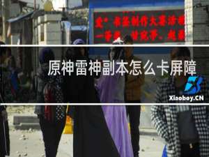 原神雷神副本怎么卡屏障