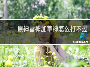 原神雷神加草神怎么打不过