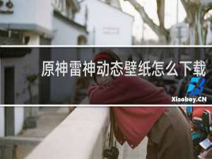 原神雷神动态壁纸怎么下载