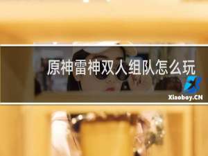 原神雷神双人组队怎么玩