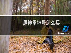 原神雷神号怎么买