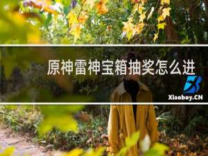 原神雷神宝箱抽奖怎么进