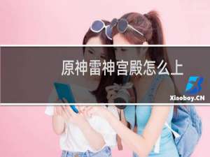 原神雷神宫殿怎么上