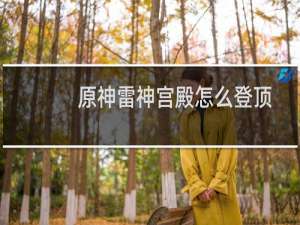原神雷神宫殿怎么登顶