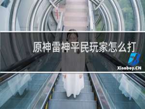 原神雷神平民玩家怎么打