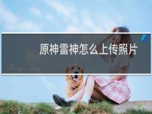 原神雷神怎么上传照片